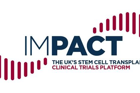 Impact logo