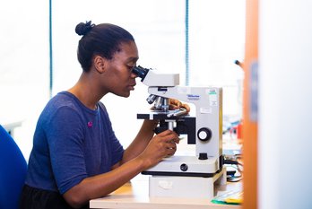 John Goldman Fellowships - research grants for leukaemia and blood cancer researchers
