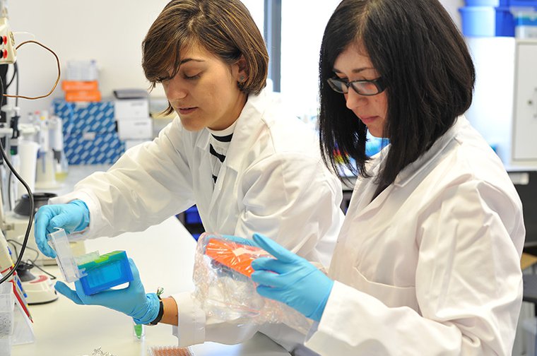 Maria Teresa Esposito Team at Roehampton - leukaemia researchers